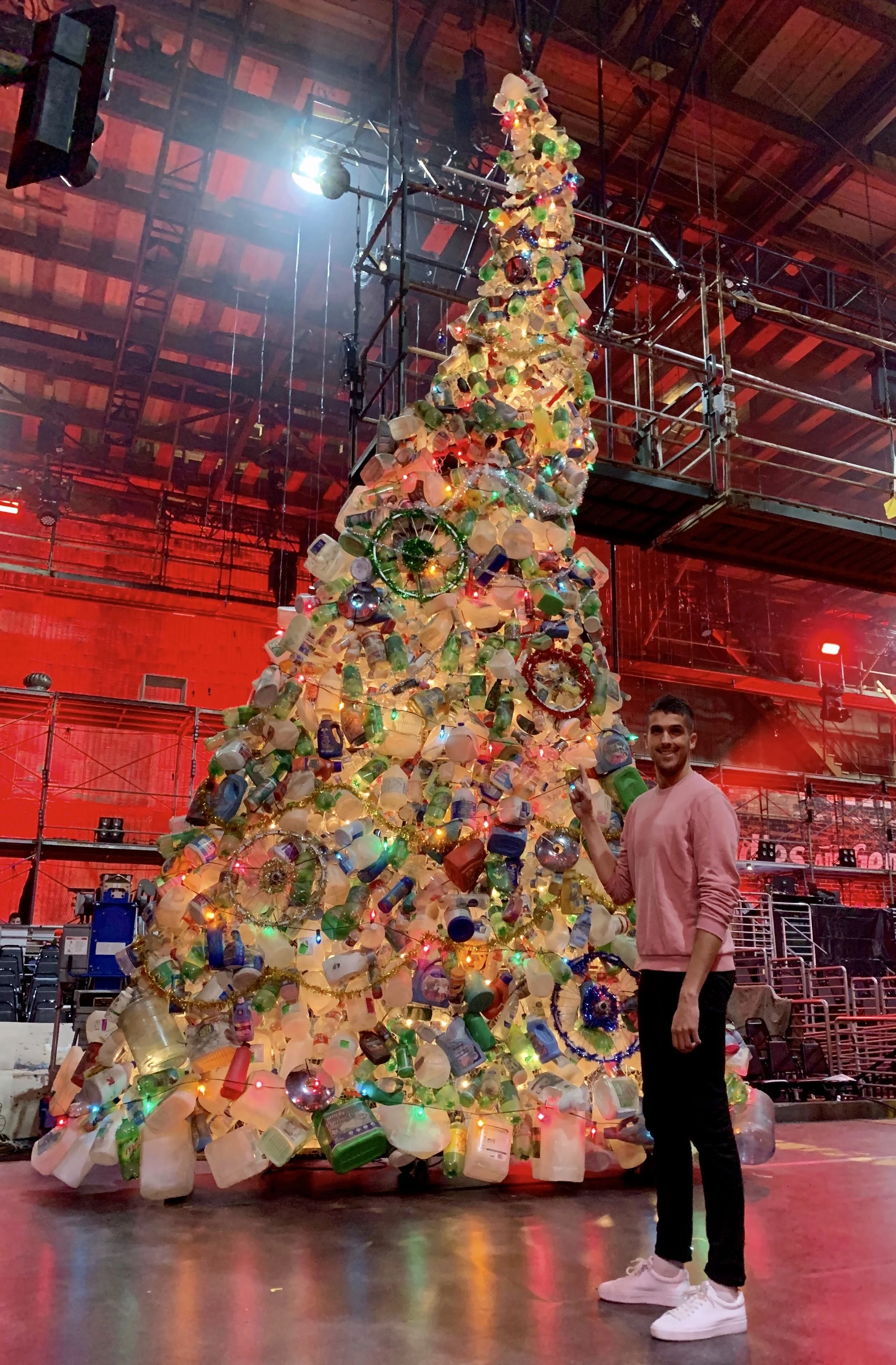 Tree Jason.jpg