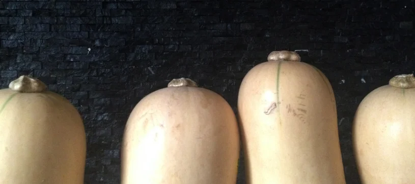 steve-hartman-butternut-squash-bisque.jpg