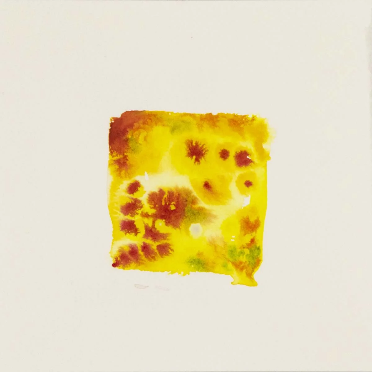 steve-hartman-art-abstract-watercolor-022.jpg