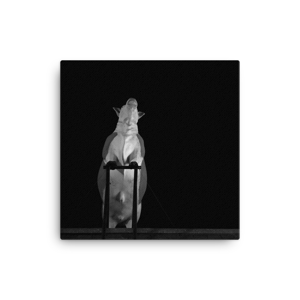 steve-hartman-art-cow-cow-boogie-black-and-white-canvas-print.png