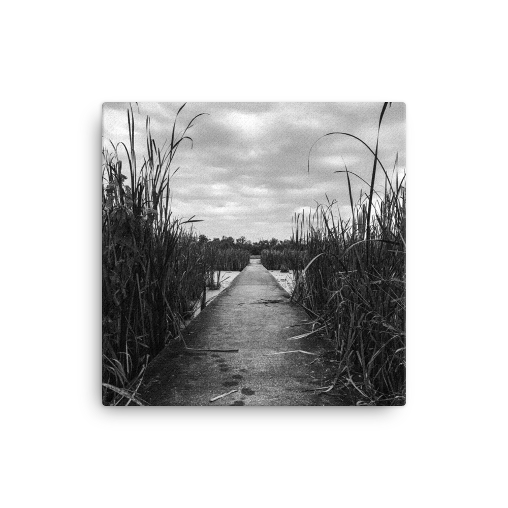 steve-hatman-art-watershed-nature-center-black-and-white-canvas-print.png