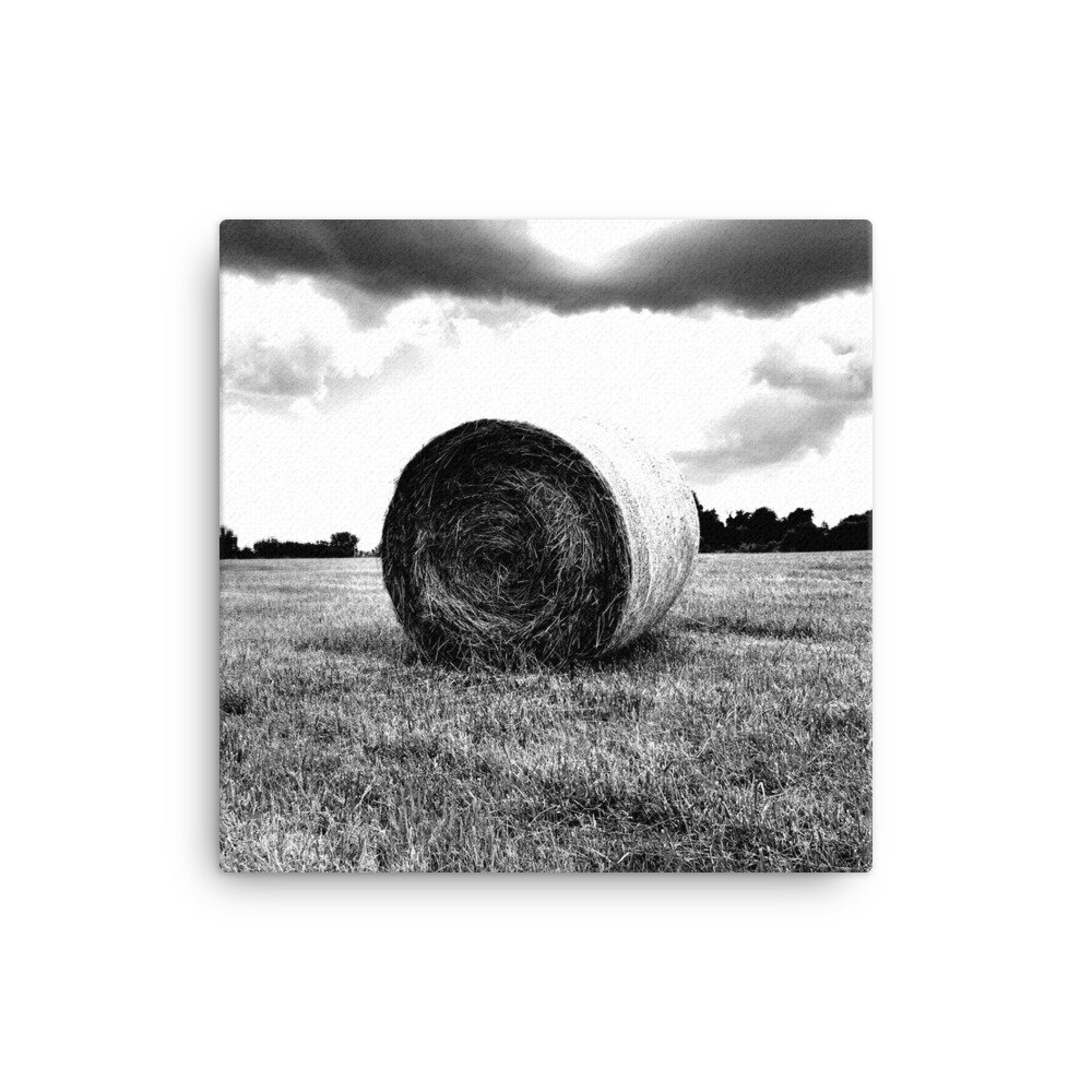 tjene Bunke af springe Hay Bale in SIUE Field black and white photo on wrapped canvas — Steve  Hartman Art