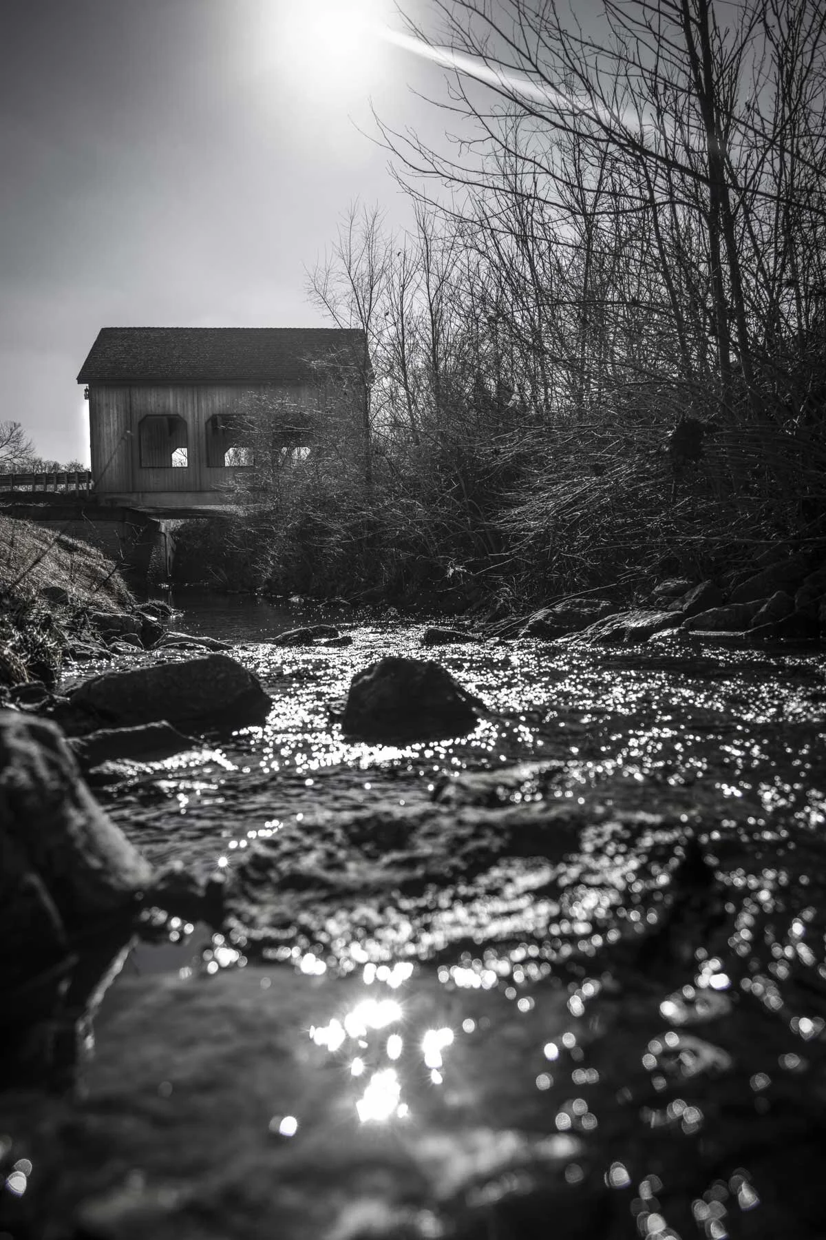 Steve-Hartman-Art-Glen_Carbon_Covered_Bridge_Creek_View.jpg