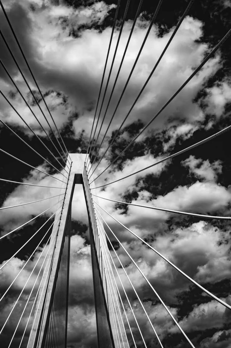 steve-hartman-art-Stan-Musial-Veterans-Memorial-Bridge.jpg