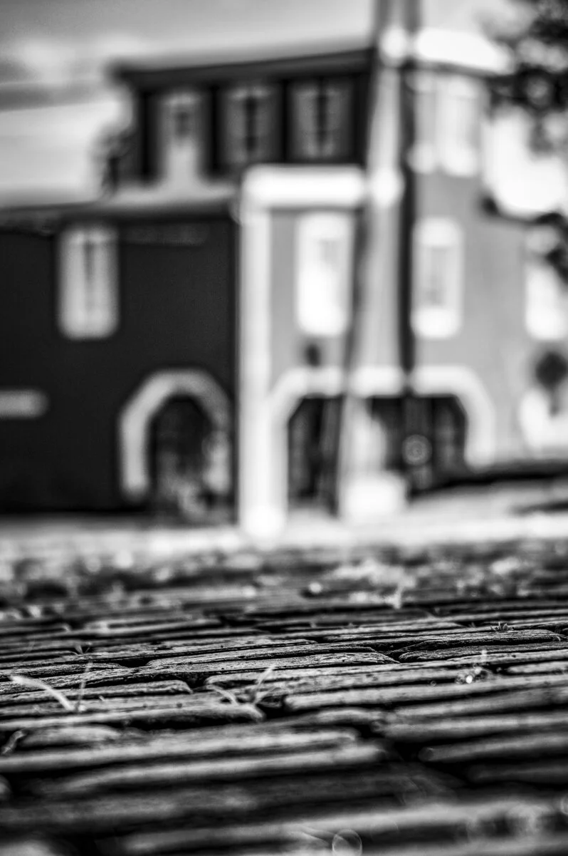 steve-hartman-art-Brick-Street-District-dollhouse.jpg