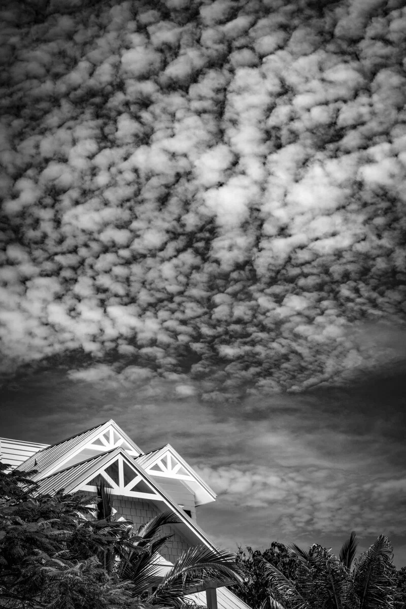 steve-hartman-art-Florida-coastal-style.jpg