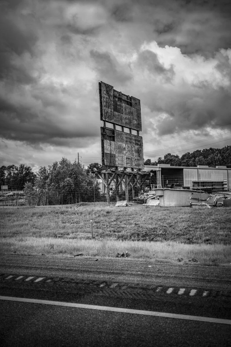 steve-hartman-art-Georgia_Billboard.jpg