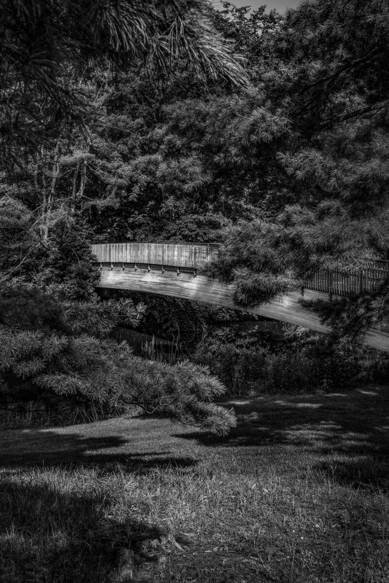 steve-hartman-art-bridge-at-the-gardens-at-siue.jpg
