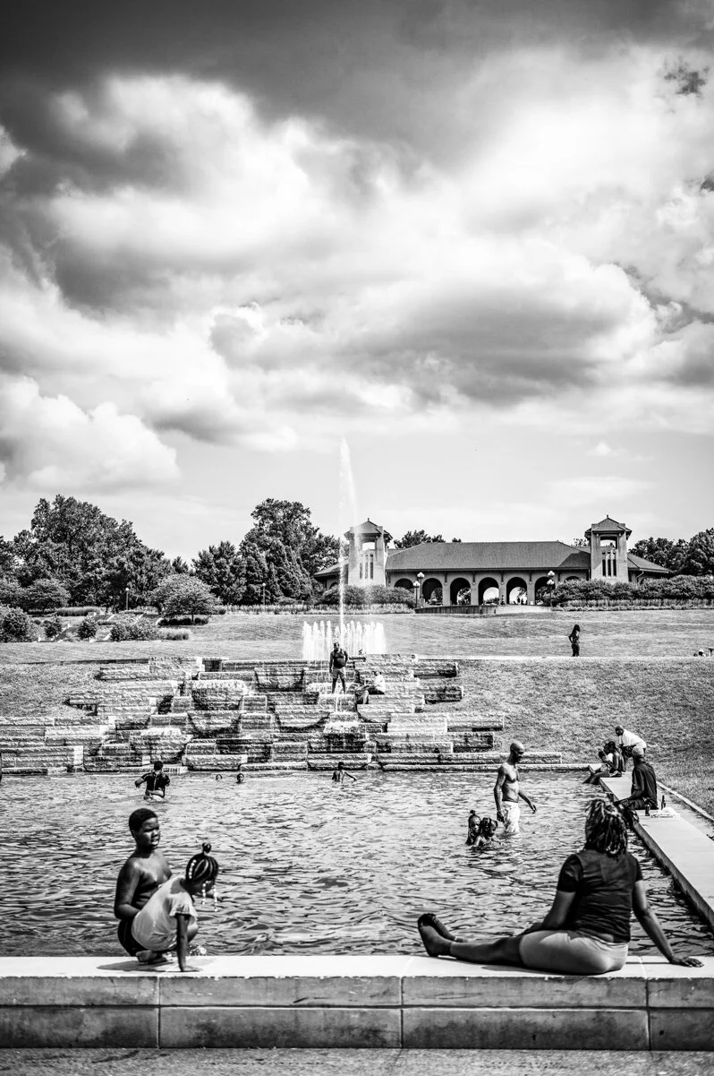 steve-hartman-art-swimming-in-forest-park.jpg