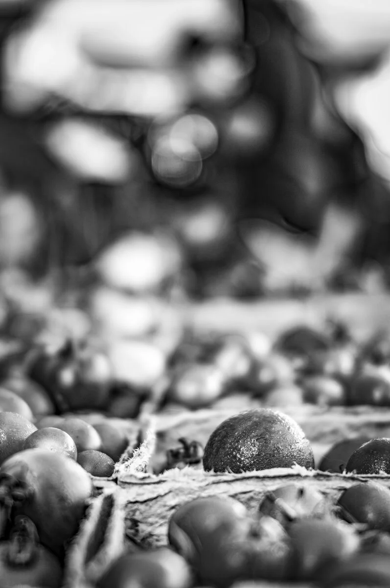 steve-hartman-art-goshen-market-tomatoes.jpg