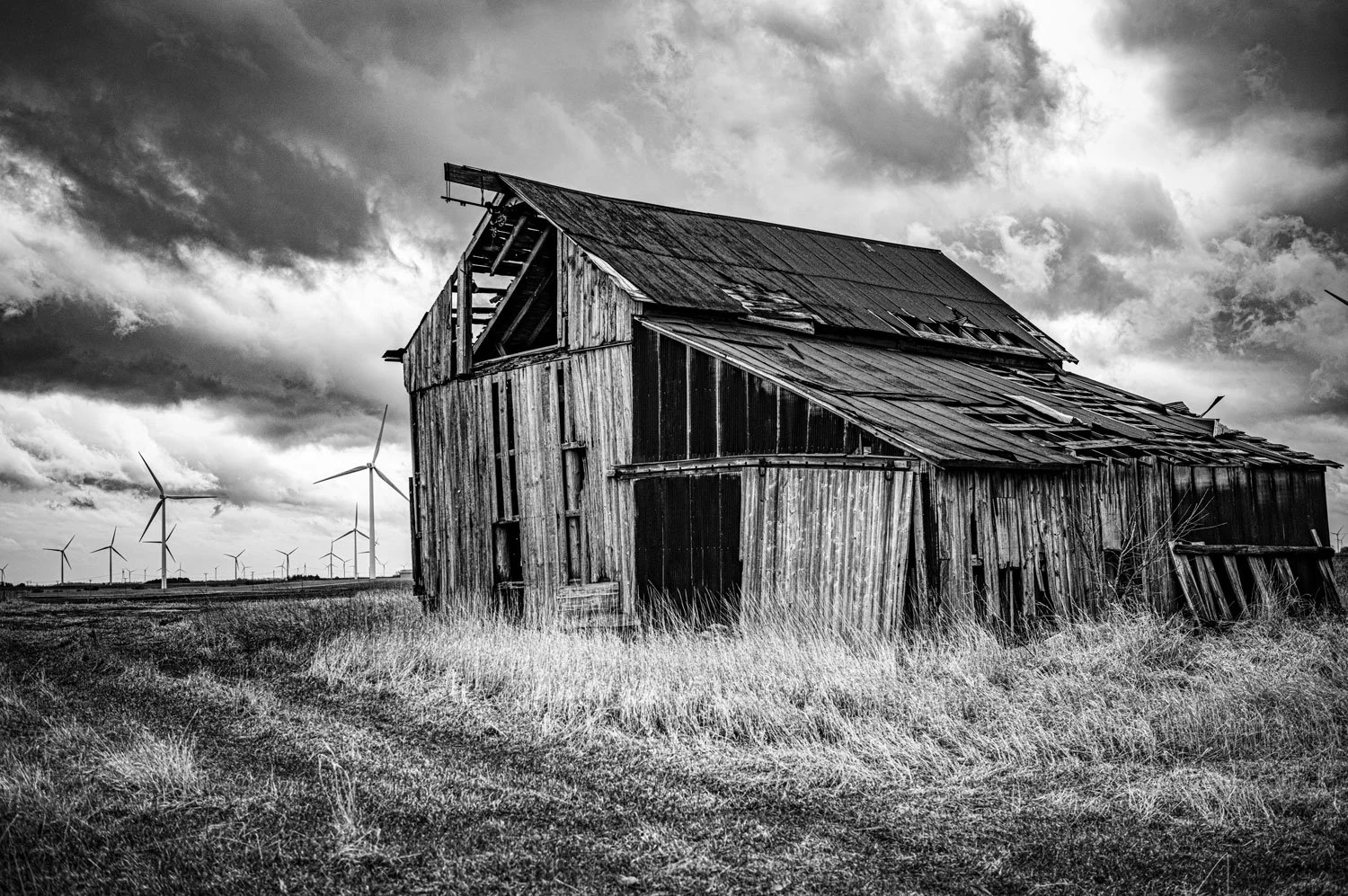 steve-hartman-art-Wind.jpg