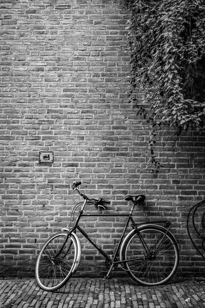 lone-bike-vertical-steve-hartman-art-sharable.jpg