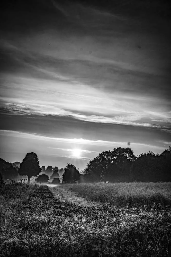 groesbeek-morning-steve-hartman-art-sharable.jpg