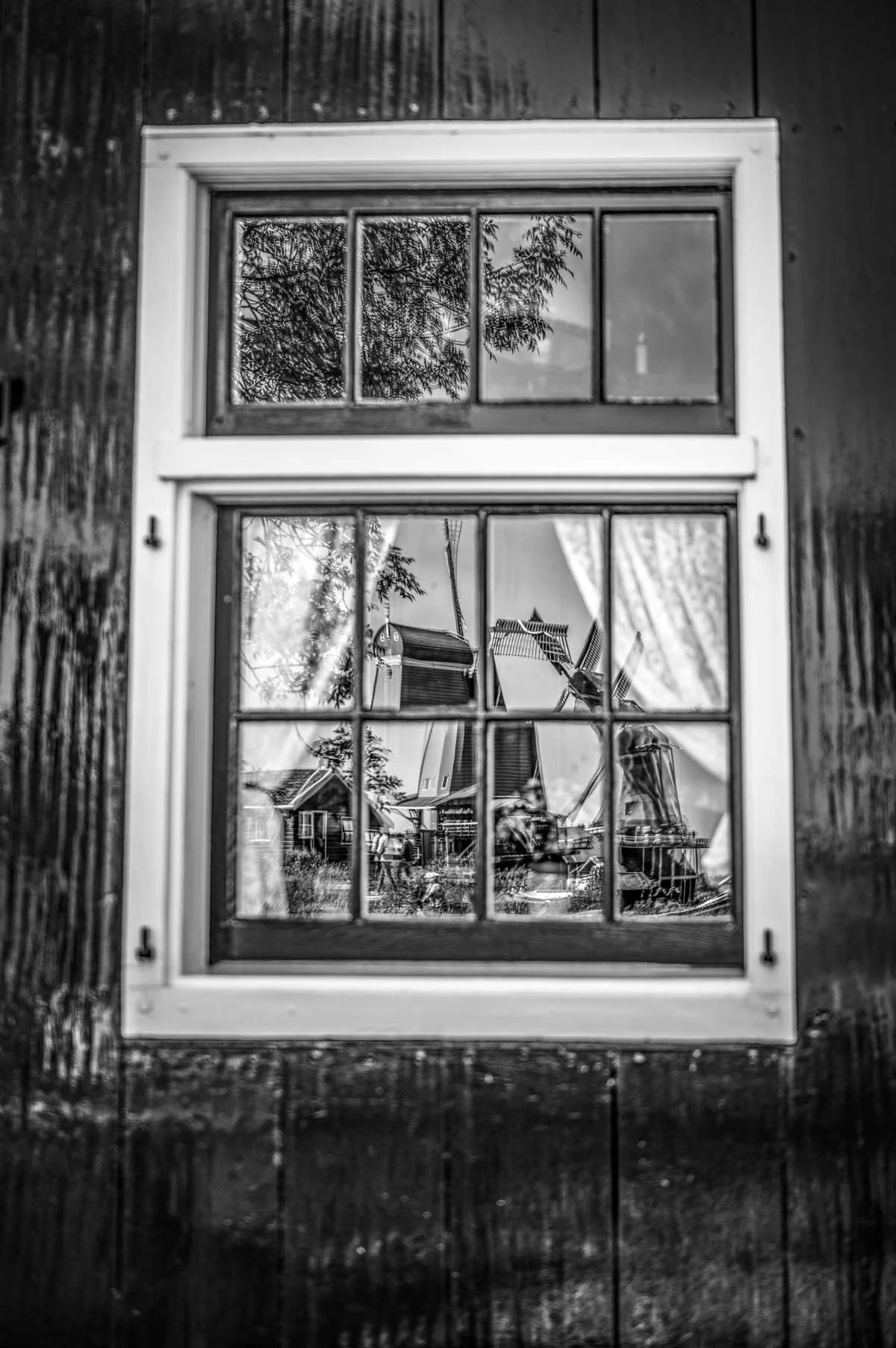 zaanse-schans-window-steve-hartman-art.jpg