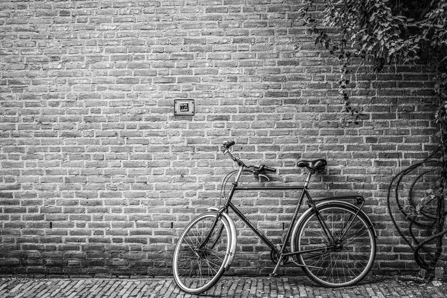 lone-bike-steve-hartman-art-sharable.jpg