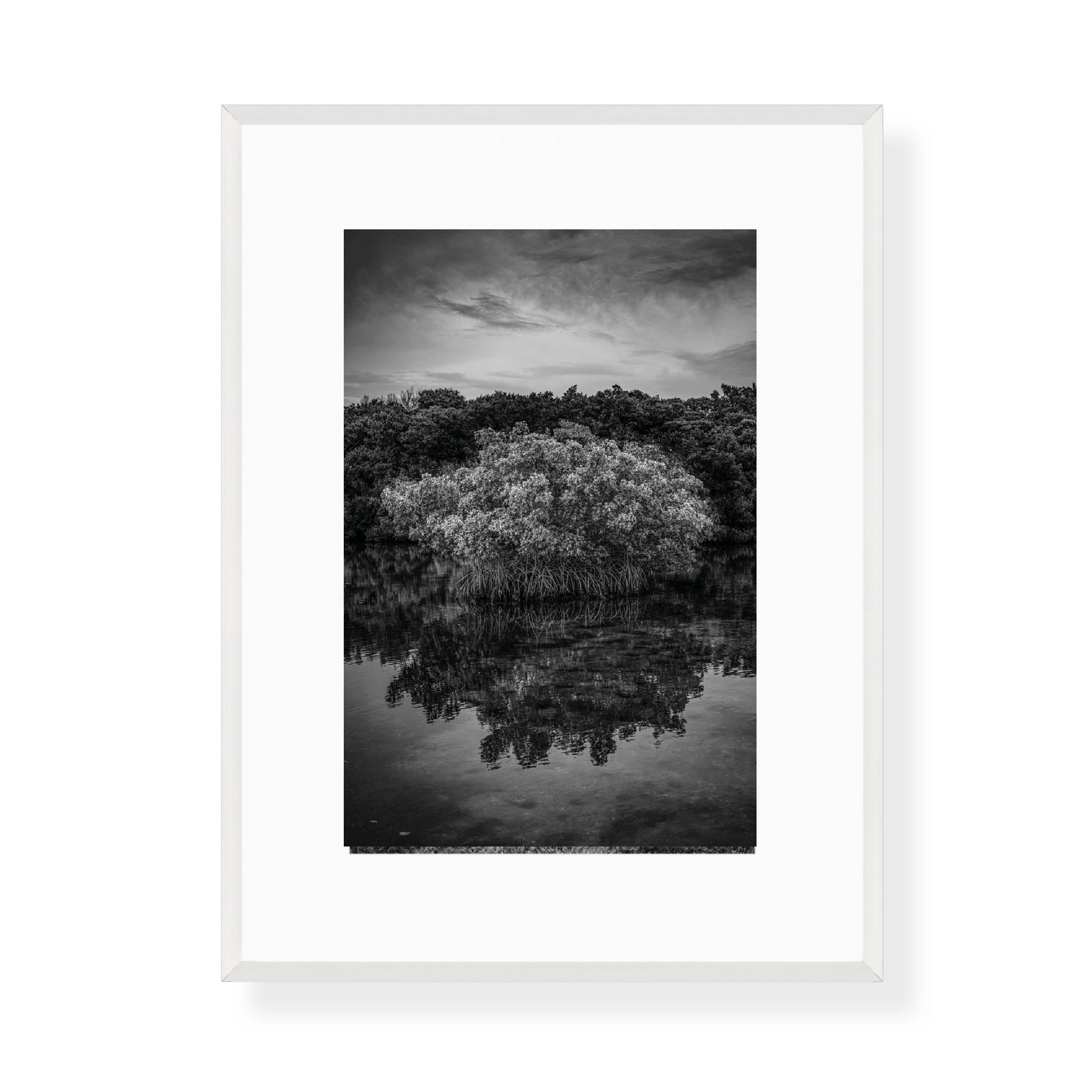 31art-gallery-show-framed-prints-steve-hartman8.jpg