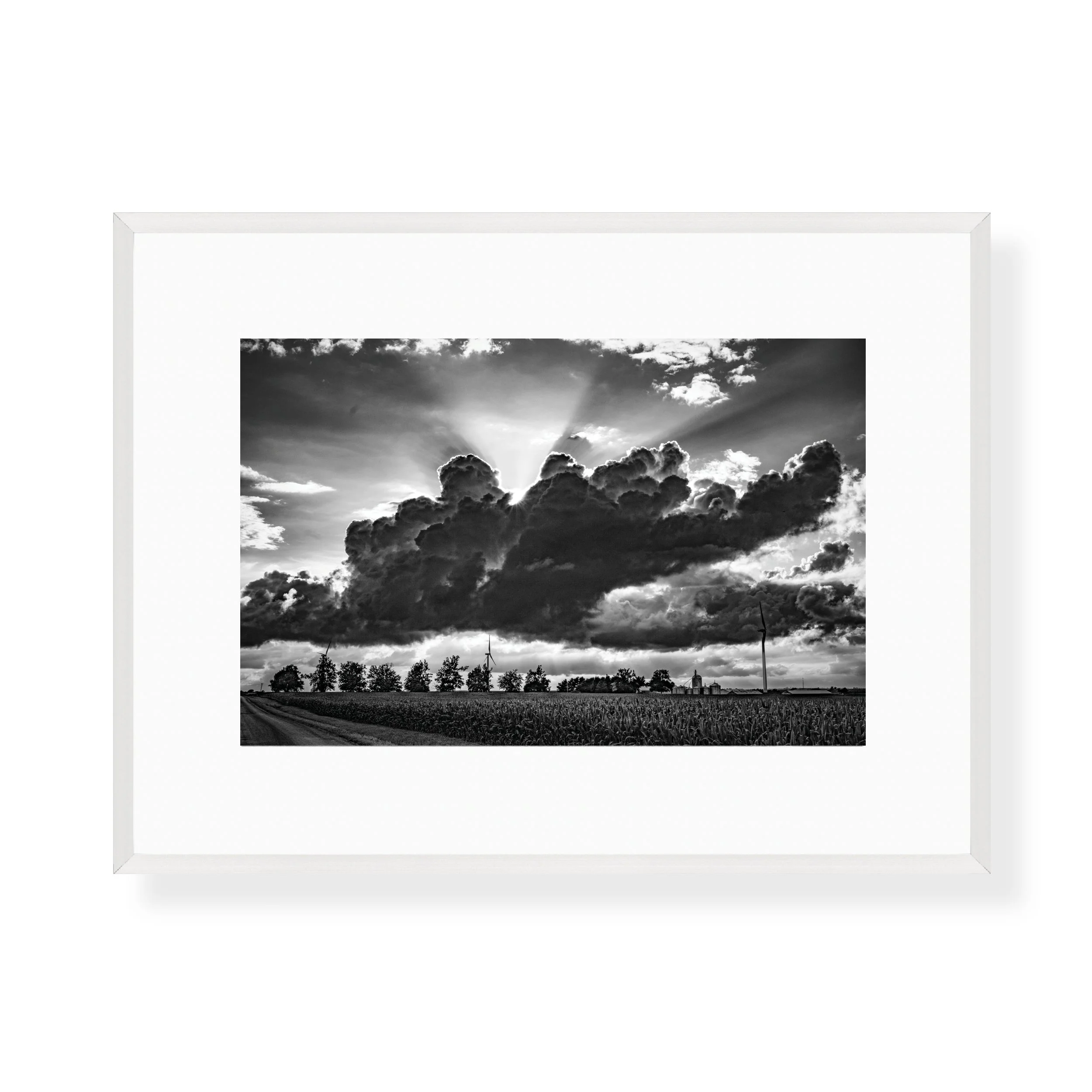 31art-gallery-show-framed-prints-steve-hartman14.jpg