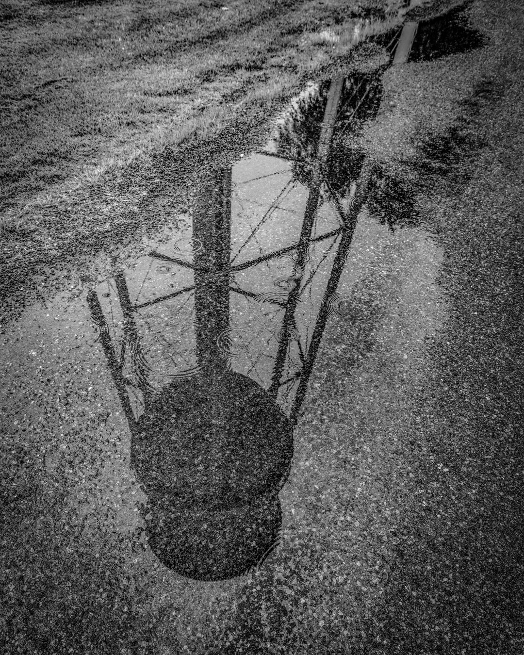 water-tower-reflection-steve-hartman-art-sharable.jpg