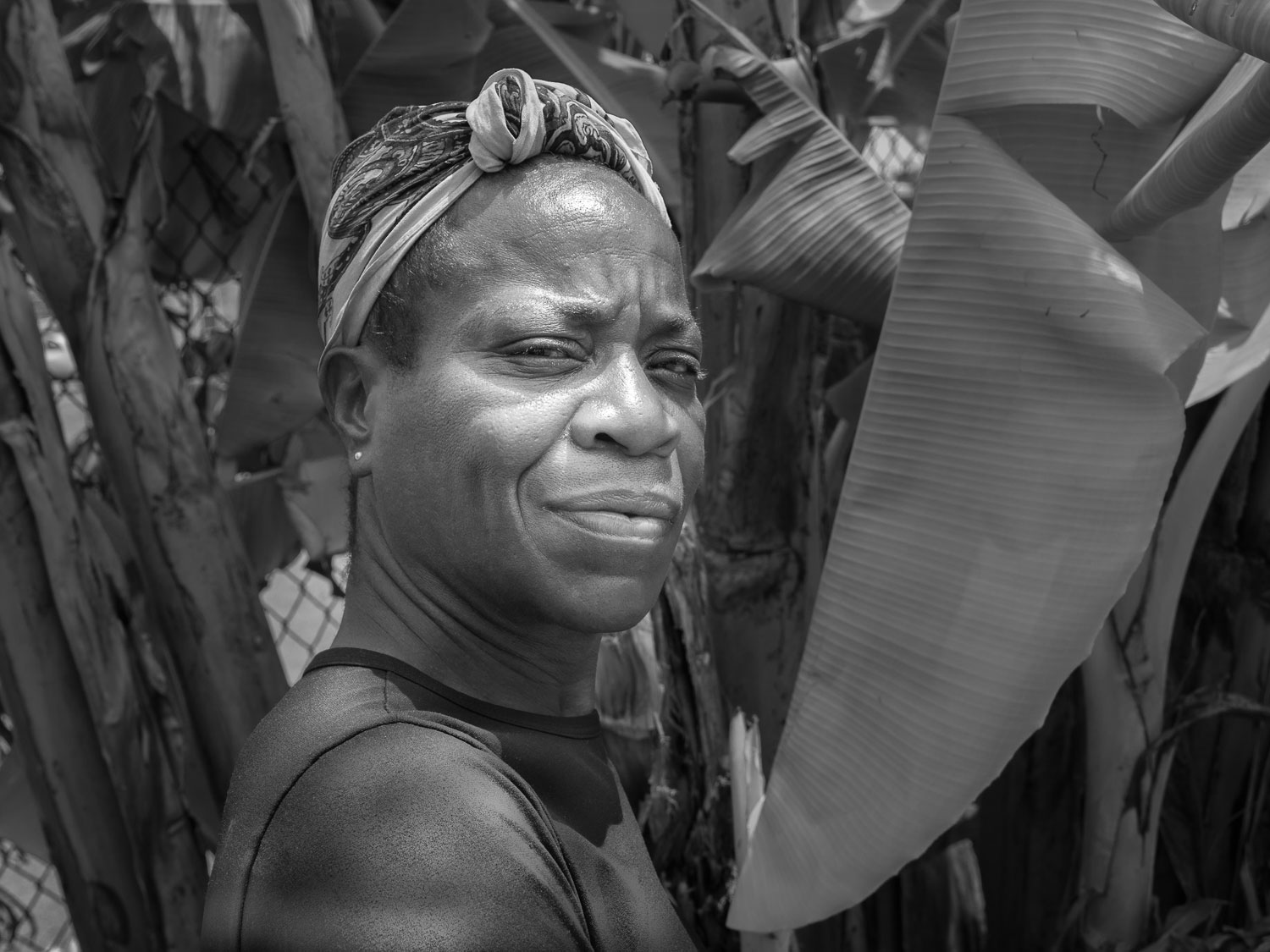 Tasha next to the banana trees that give some shade to the sidewalk on Filbert Street.