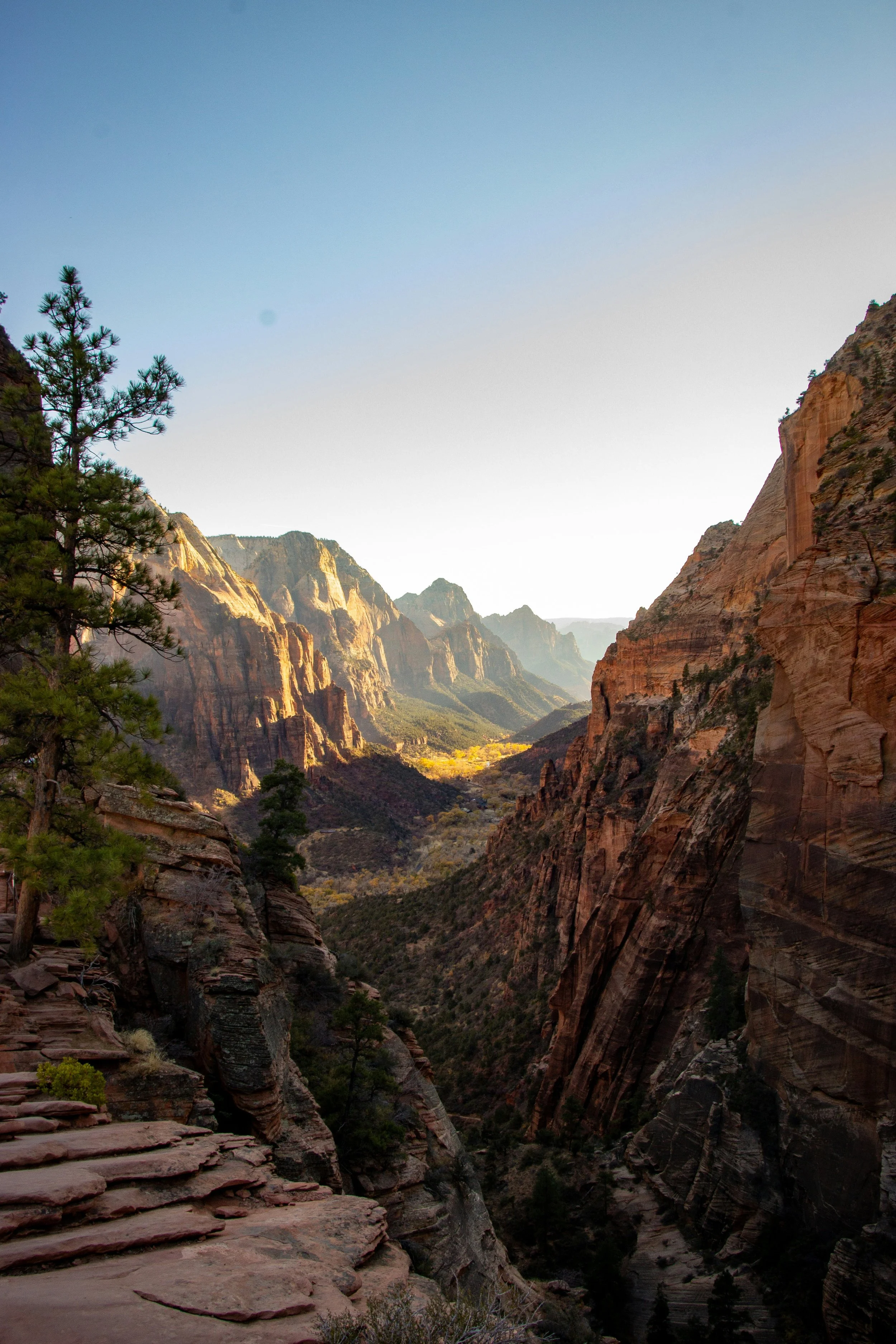 Zion - dan-cutler-8_2EVebUT3A-unsplash.jpg