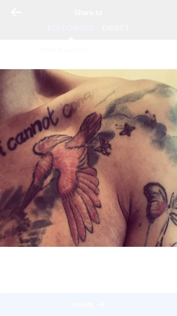 Kingfisher(s): I Will Survive