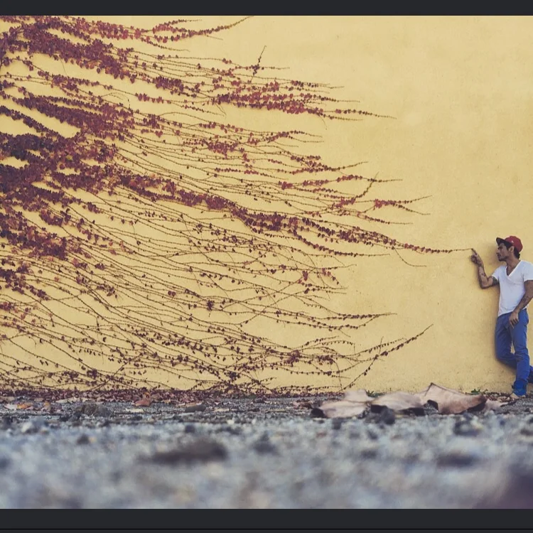 Man vs. the giant weed