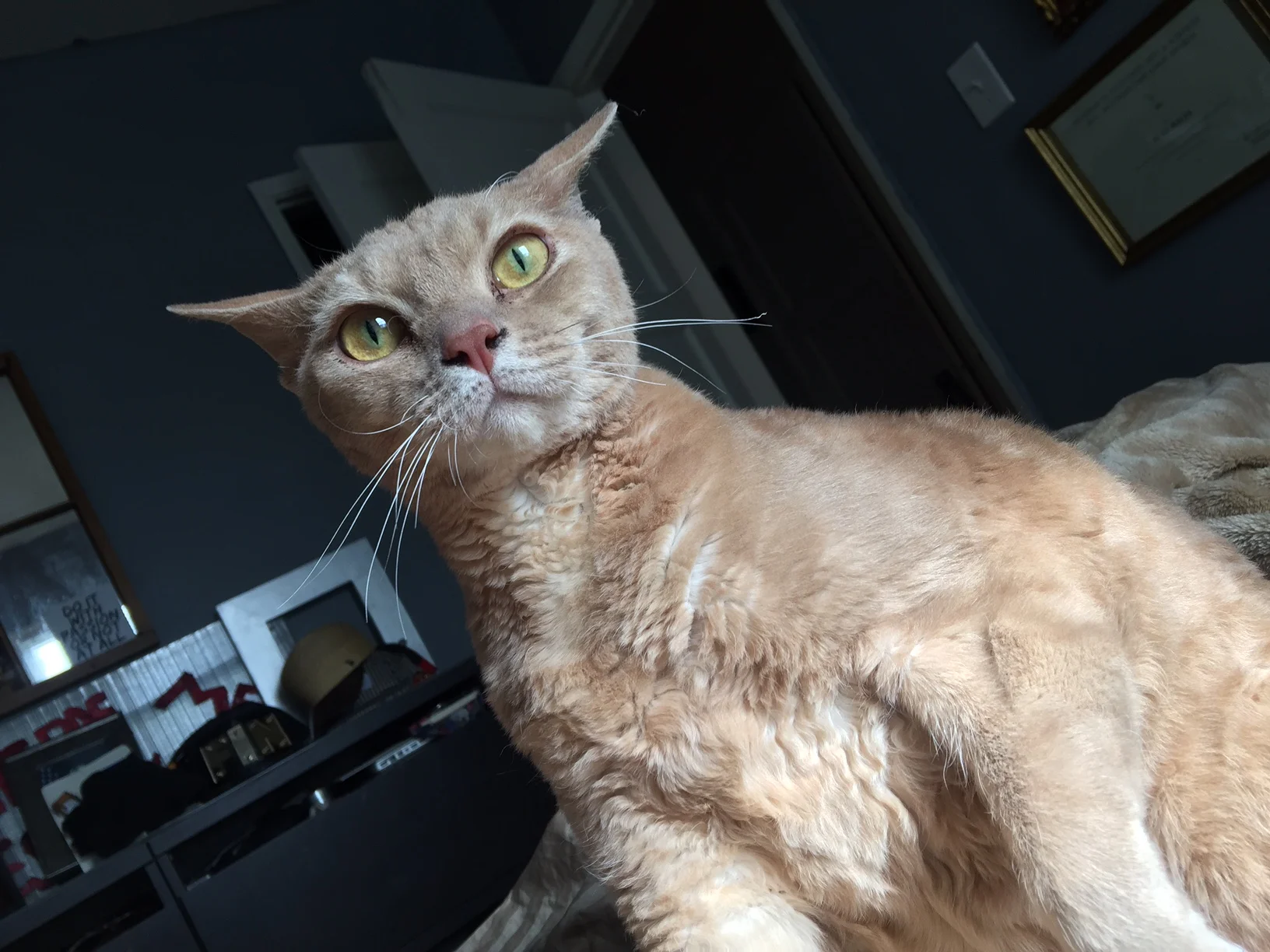 That WA$ then. This is LIKE BUTTON NOW