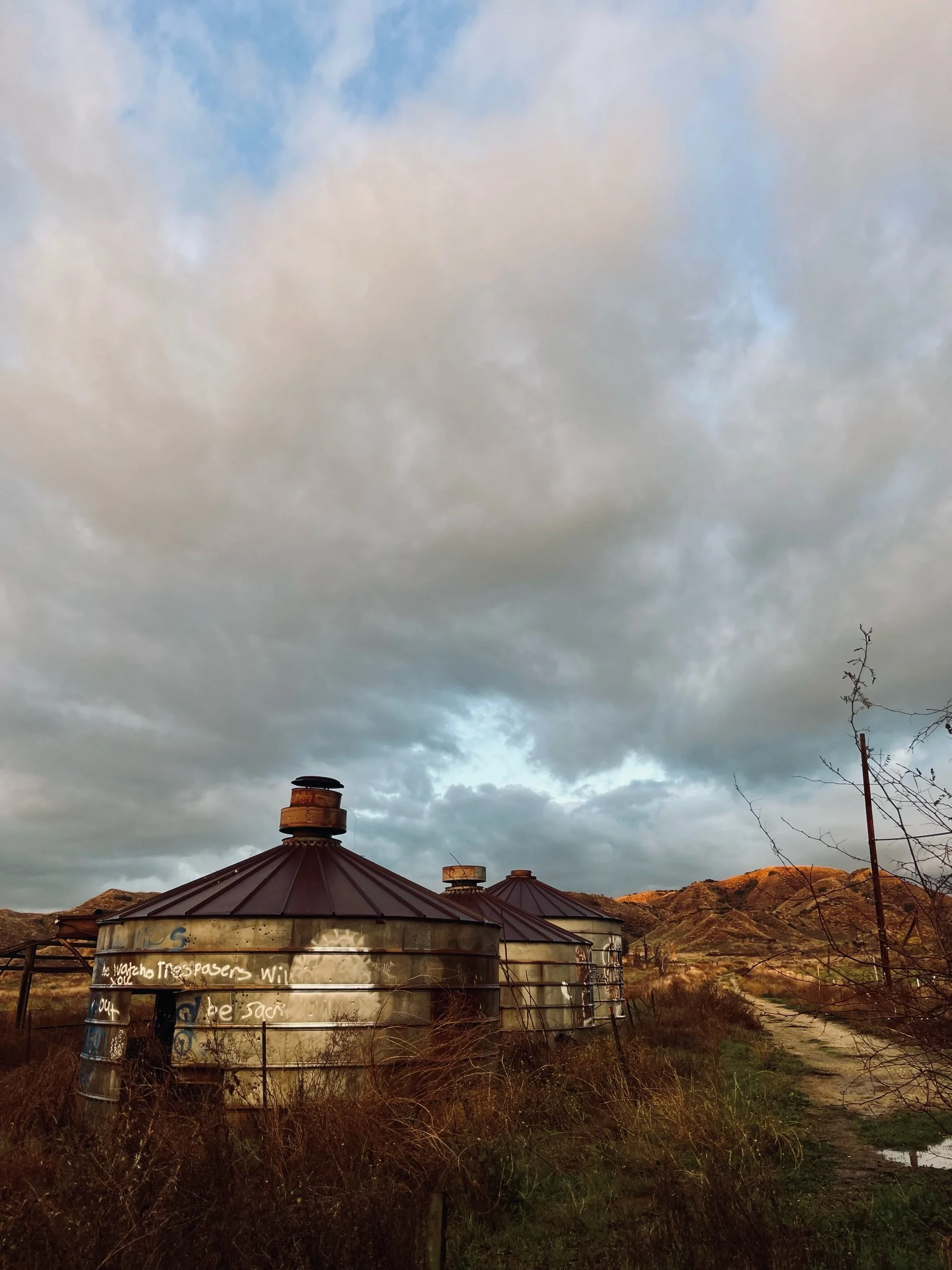 IMG_5213.jpeg (Copy)