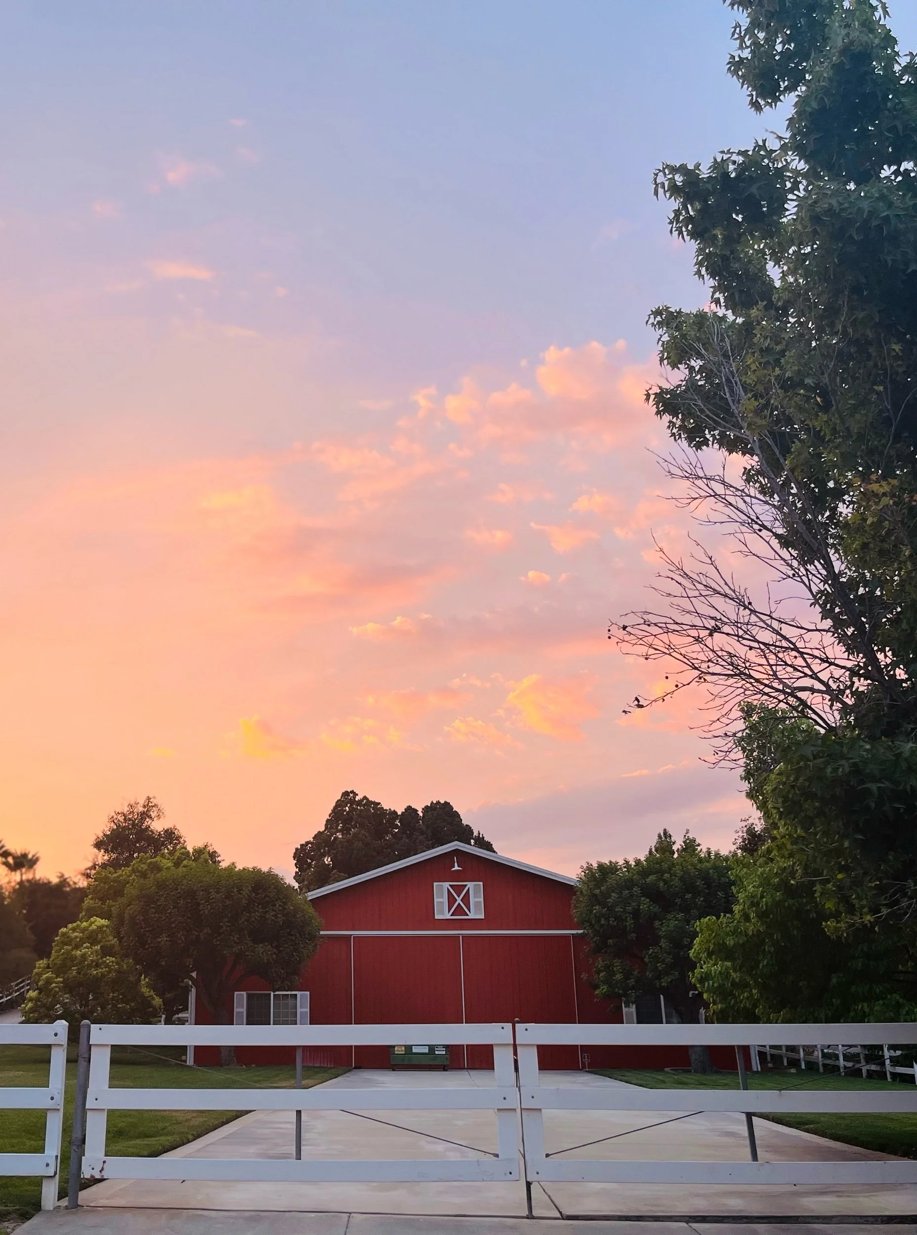 IMG_0958.jpeg (Copy)