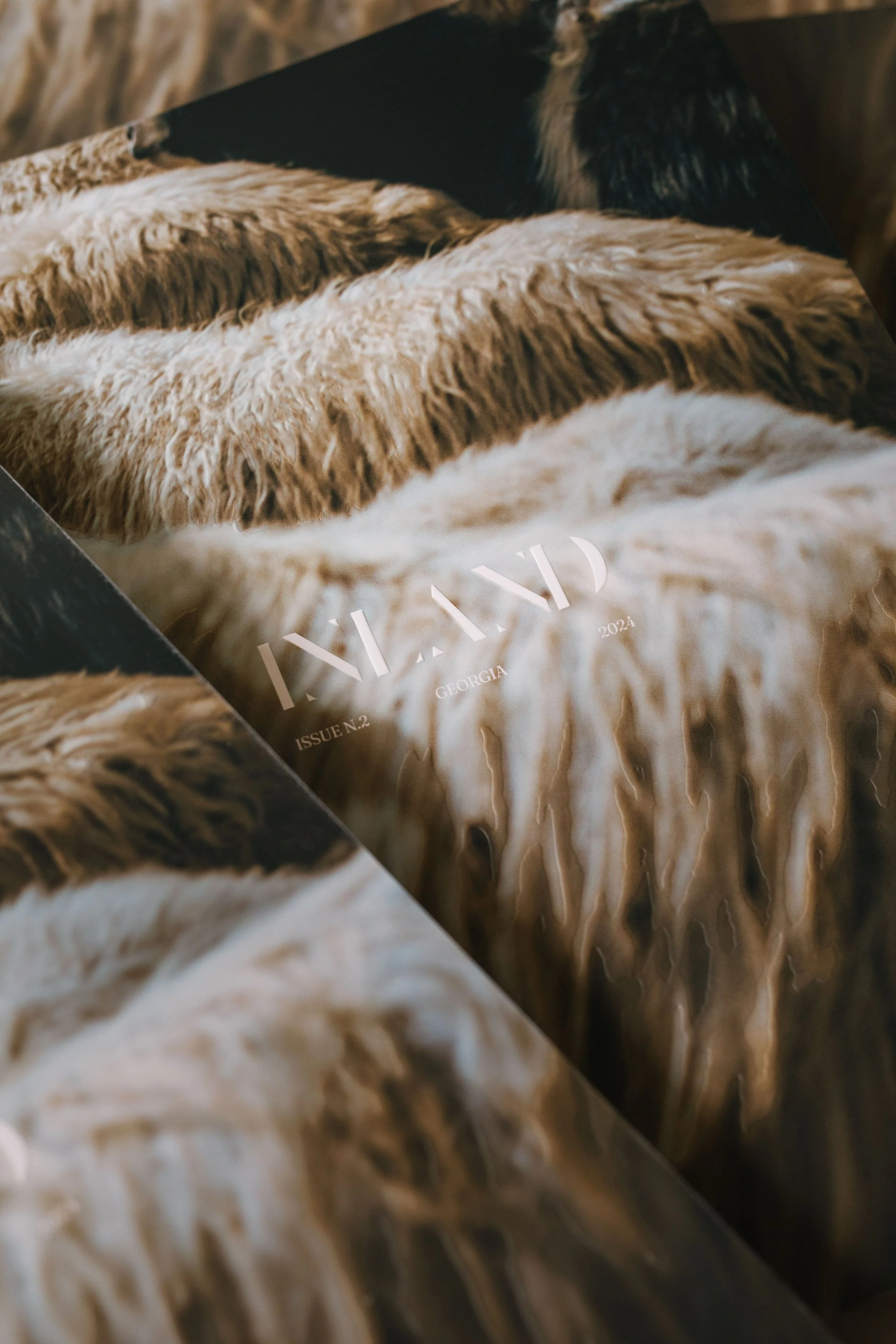 Inland_#2 cover.jpg