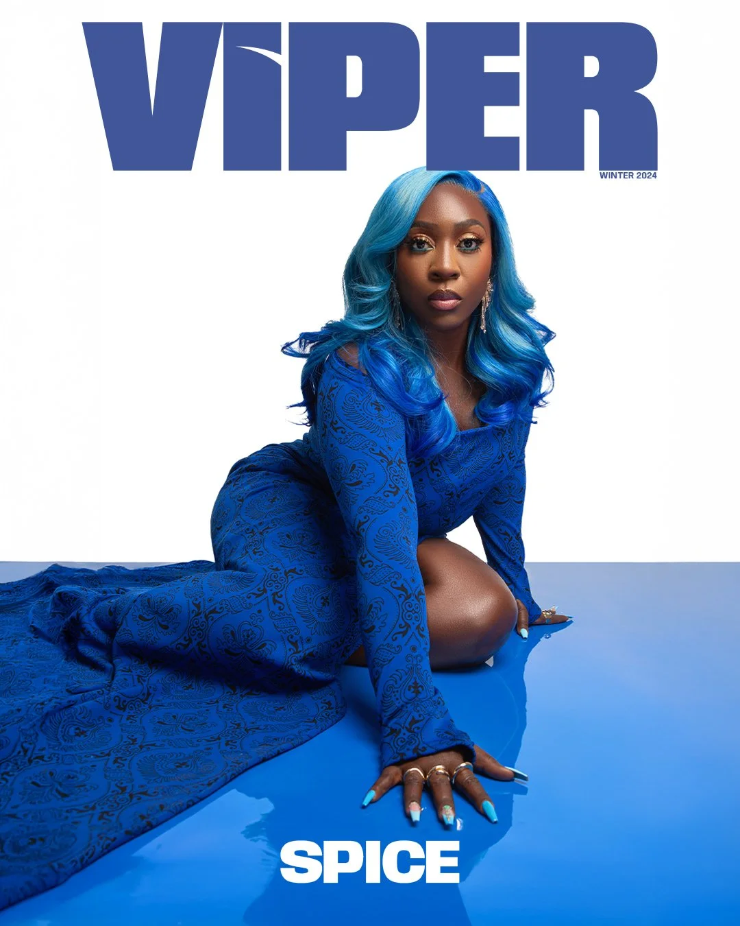 Viper Spice Cover.JPEG