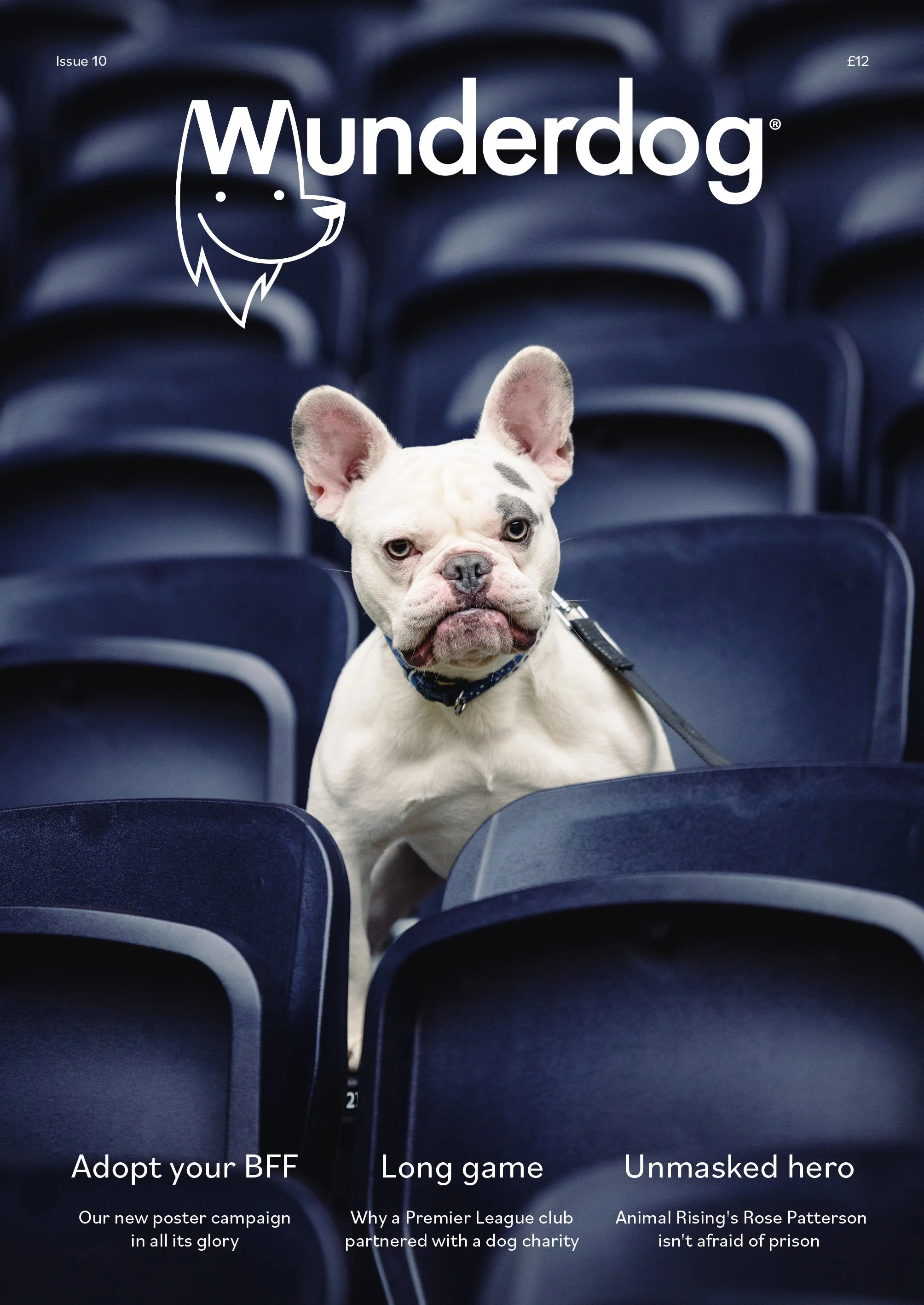 Wunderdog 10 cover.jpg