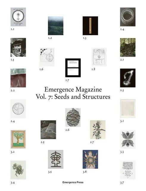 Emergence_7.jpg
