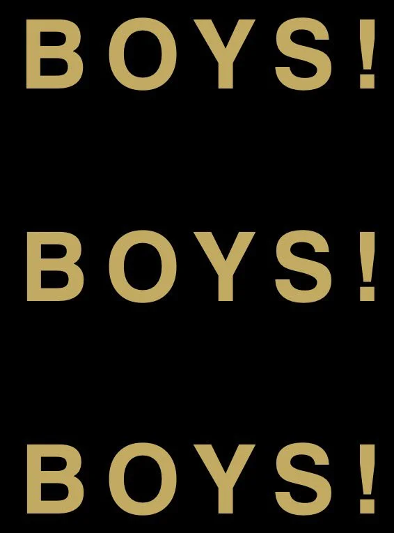 BOYS! BOYS! BOYS! Volume 12.jpg