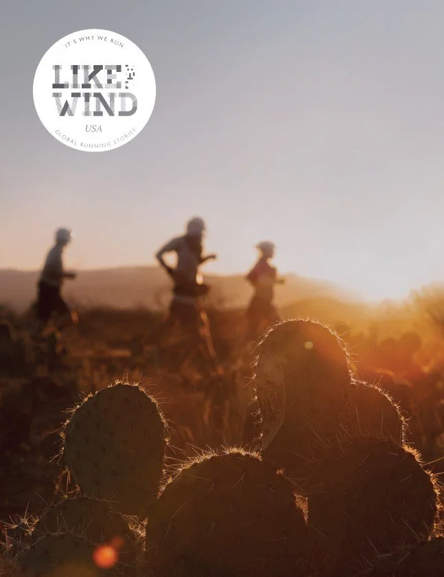 Like The Wind USA_1.jpg