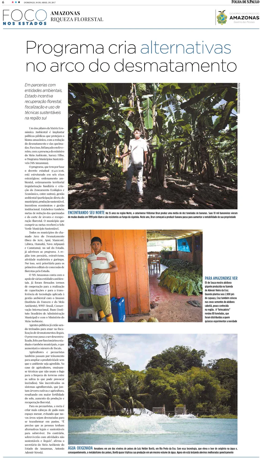 FOCO_Amazonas_contra.jpg