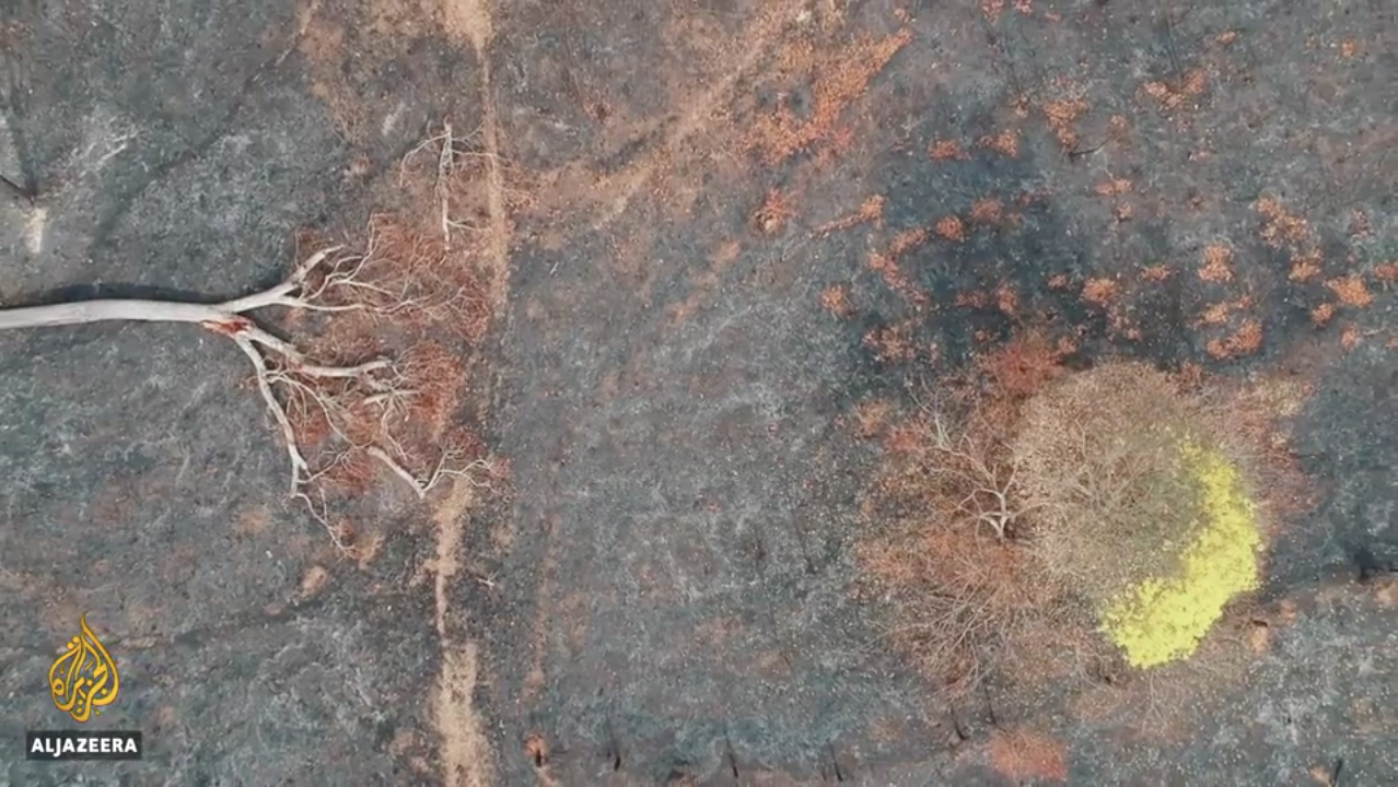 Video for Al Jazeera about fire in Amazon