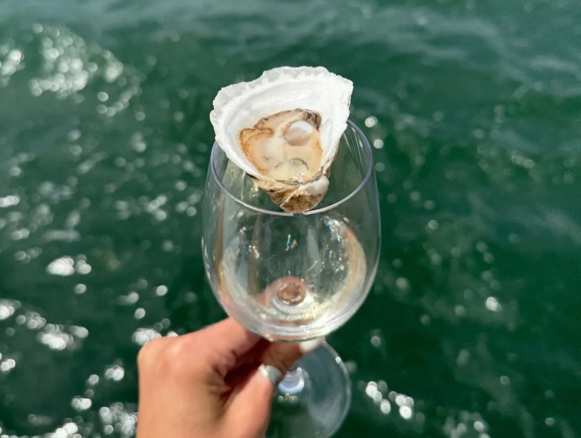 WINE SAIL - WINE AND OYSTER