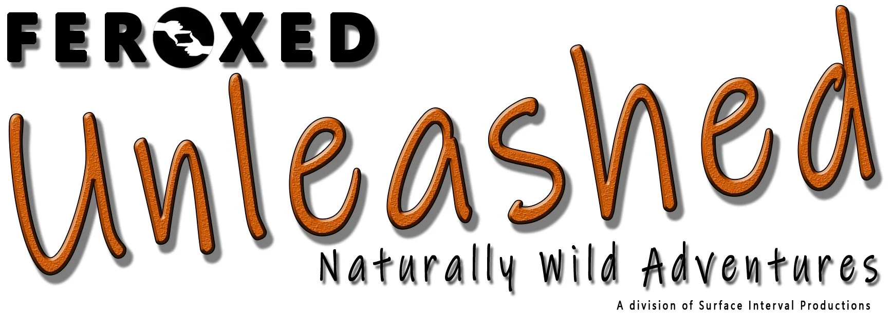 FEROXED UNLEASHED Travel LOGO Orange.jpg