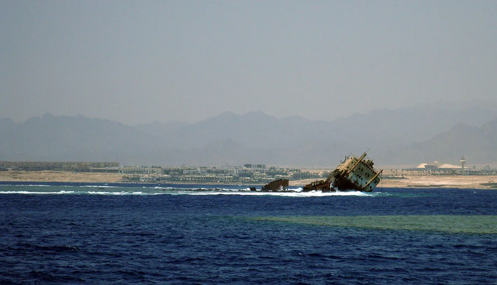 ReadSea0125.jpg