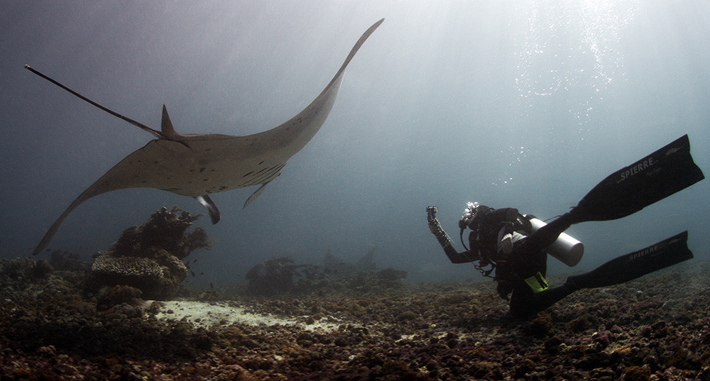 Barbara with Manta.jpg