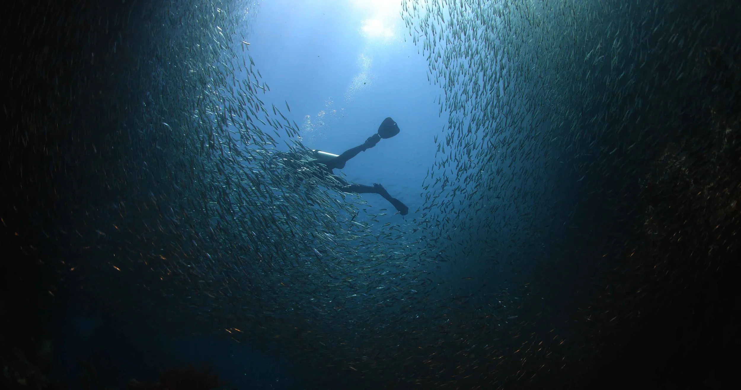 Barbara in fish small.jpg