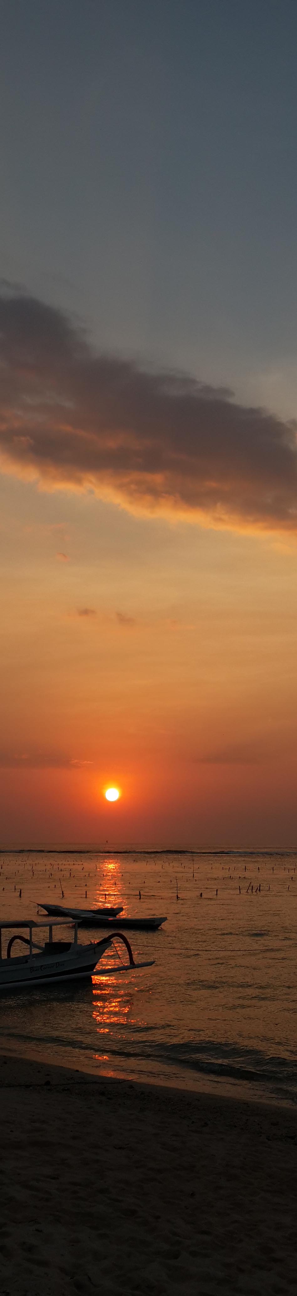 vertical sunset.jpg