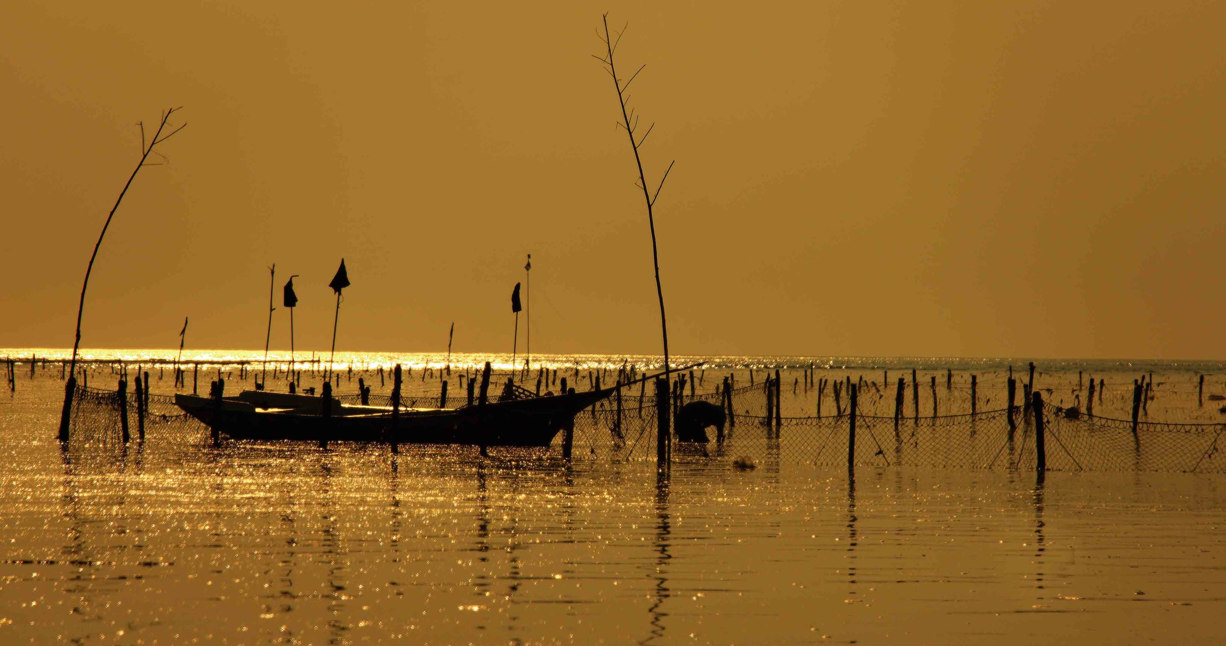 Sunset with boat & Farmer.jpg