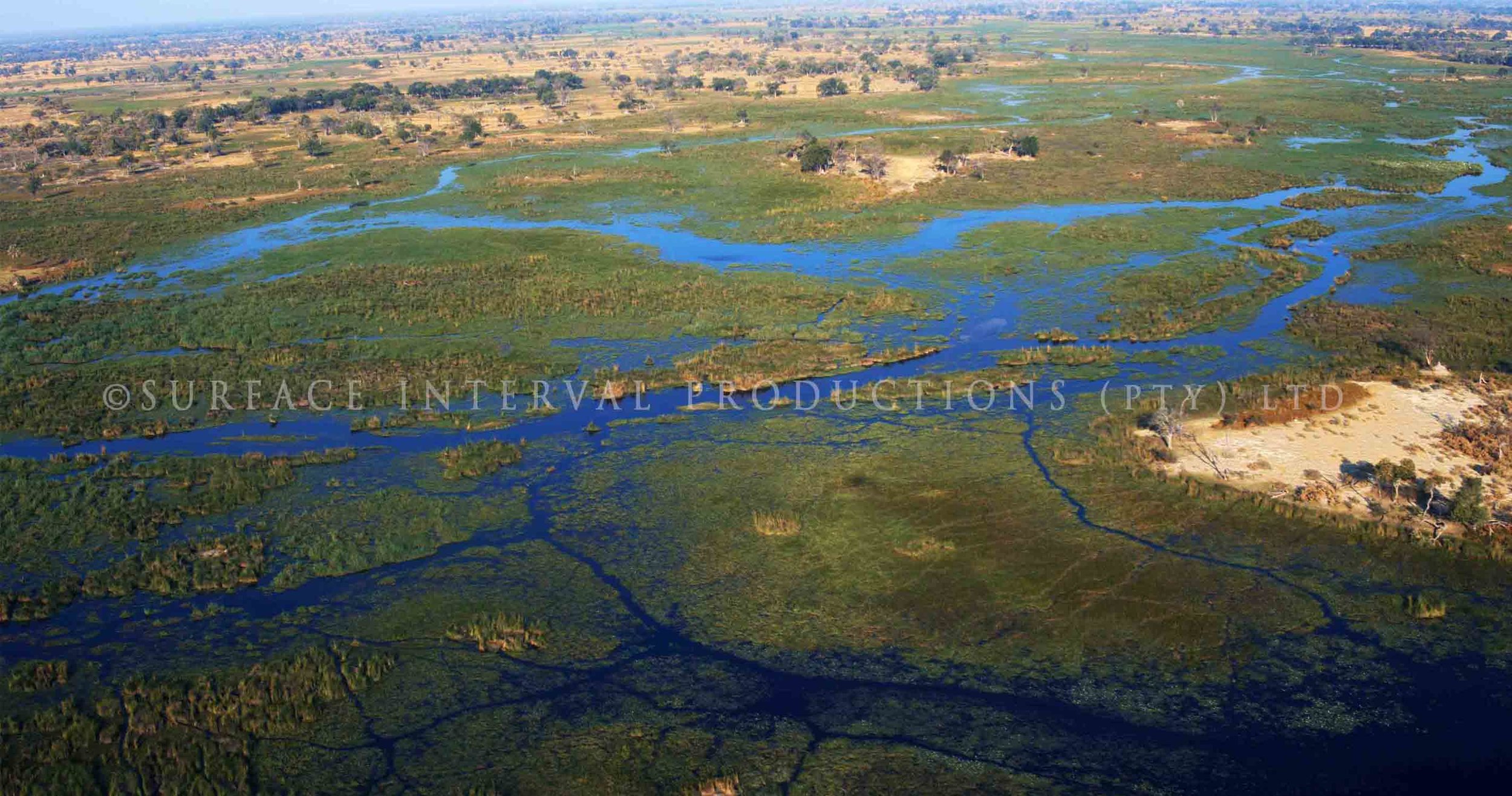 Okavango Delta 002ss.jpg