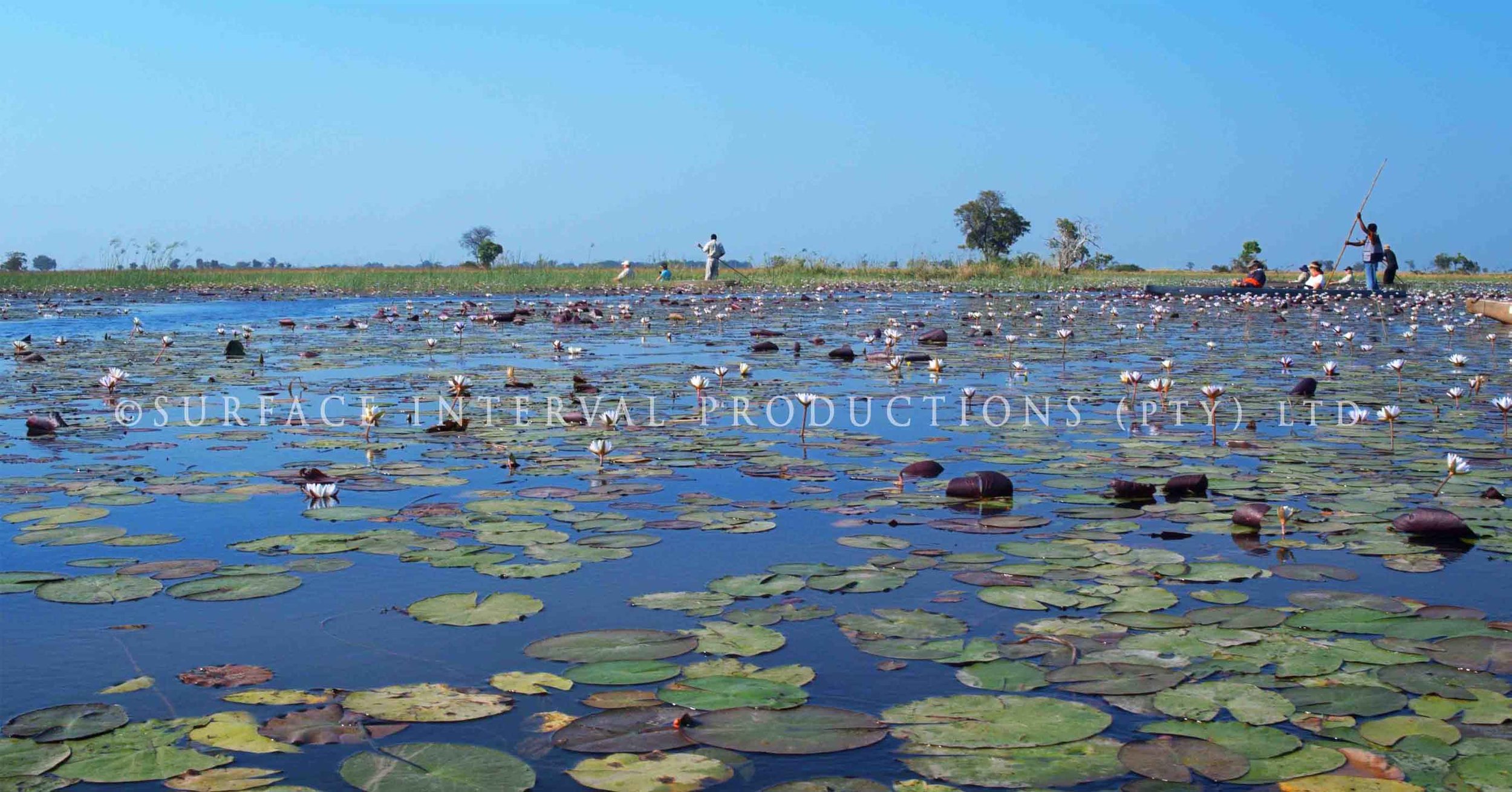 Okavango Delta 009ss.jpg