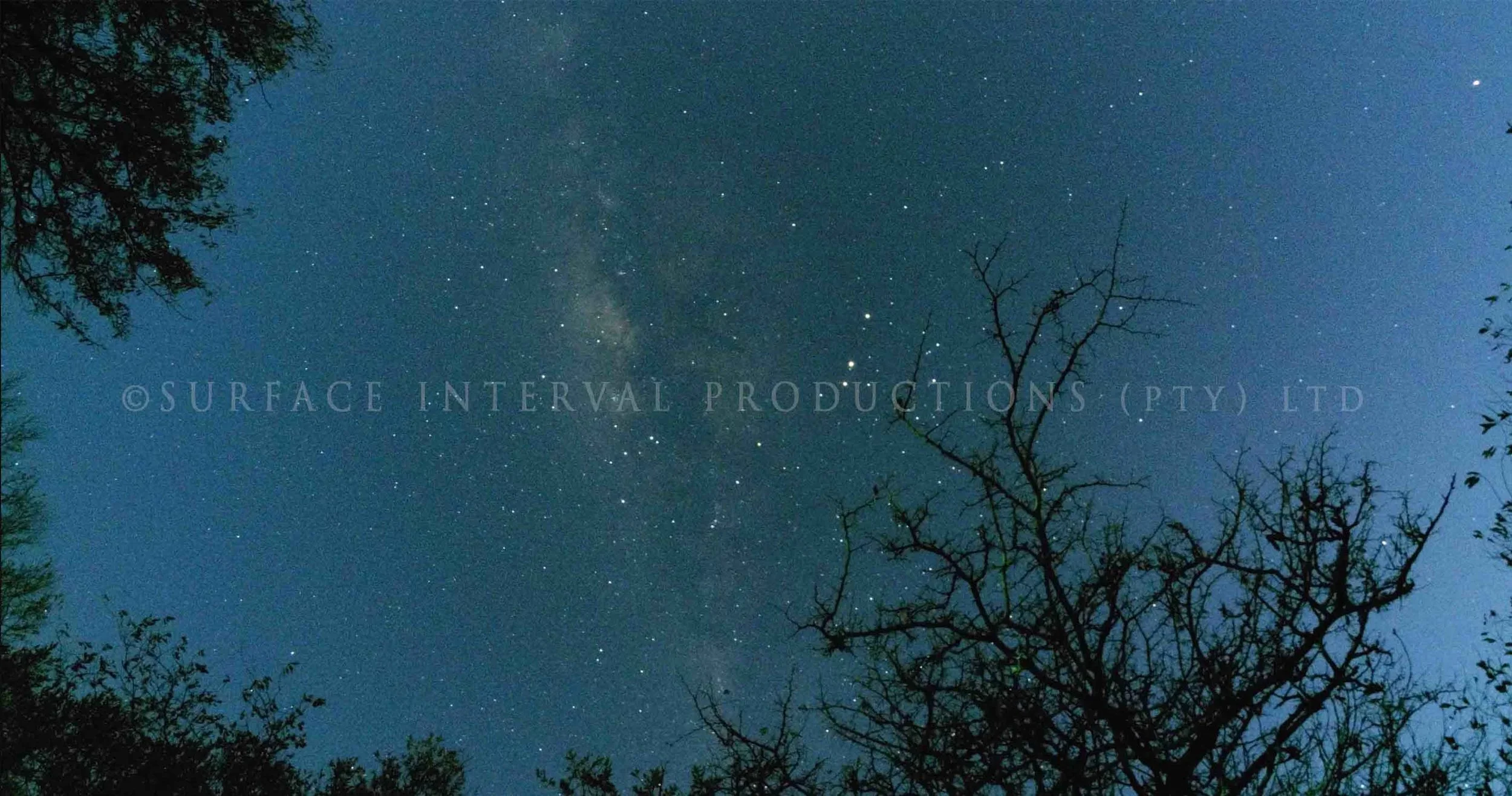 Stars 001ss.jpg