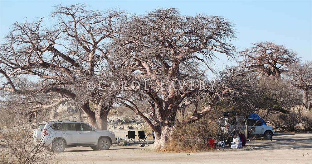 Lekhubu camp site.jpg