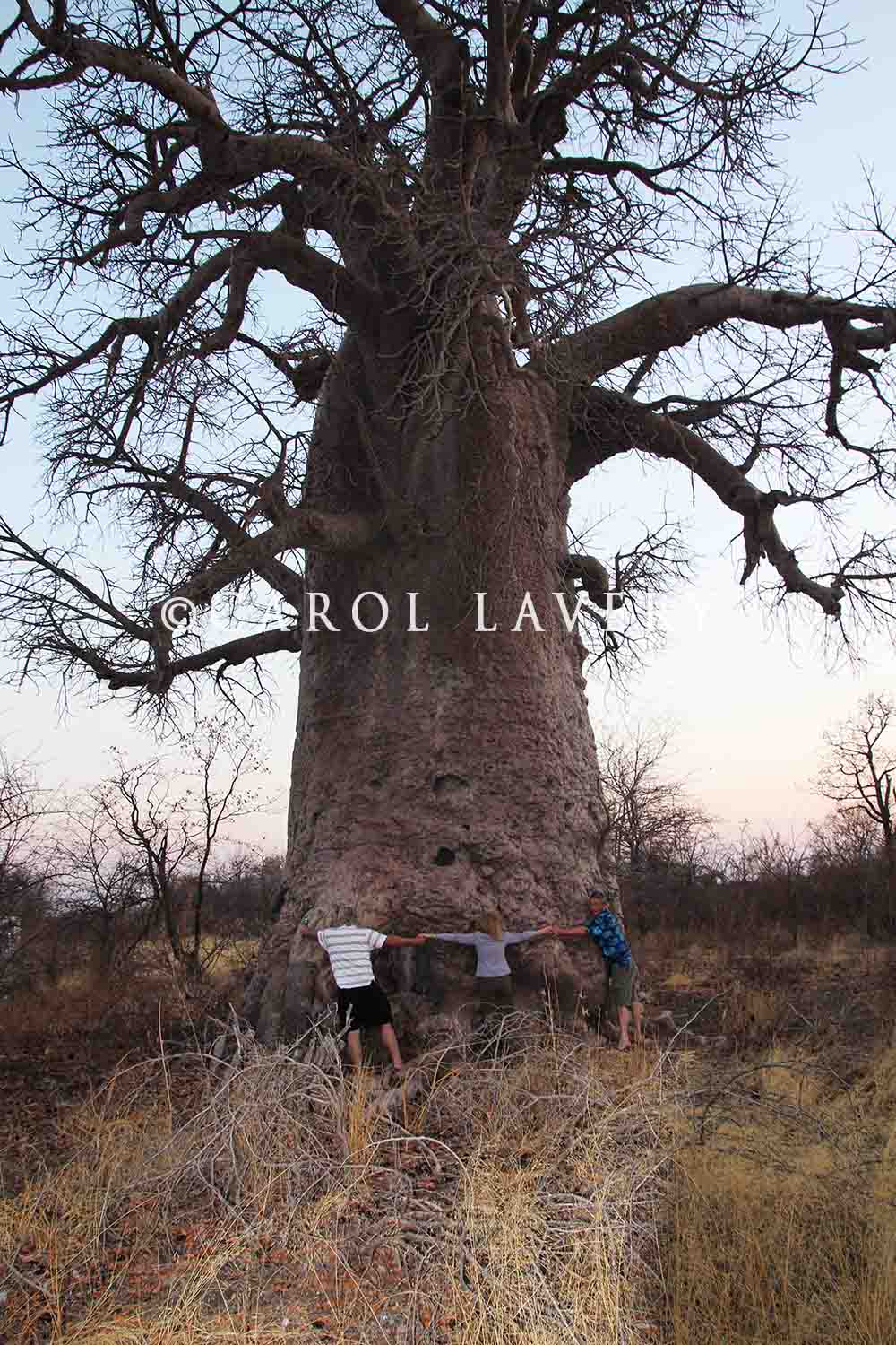 v Our Group at Baobabs 1.jpg