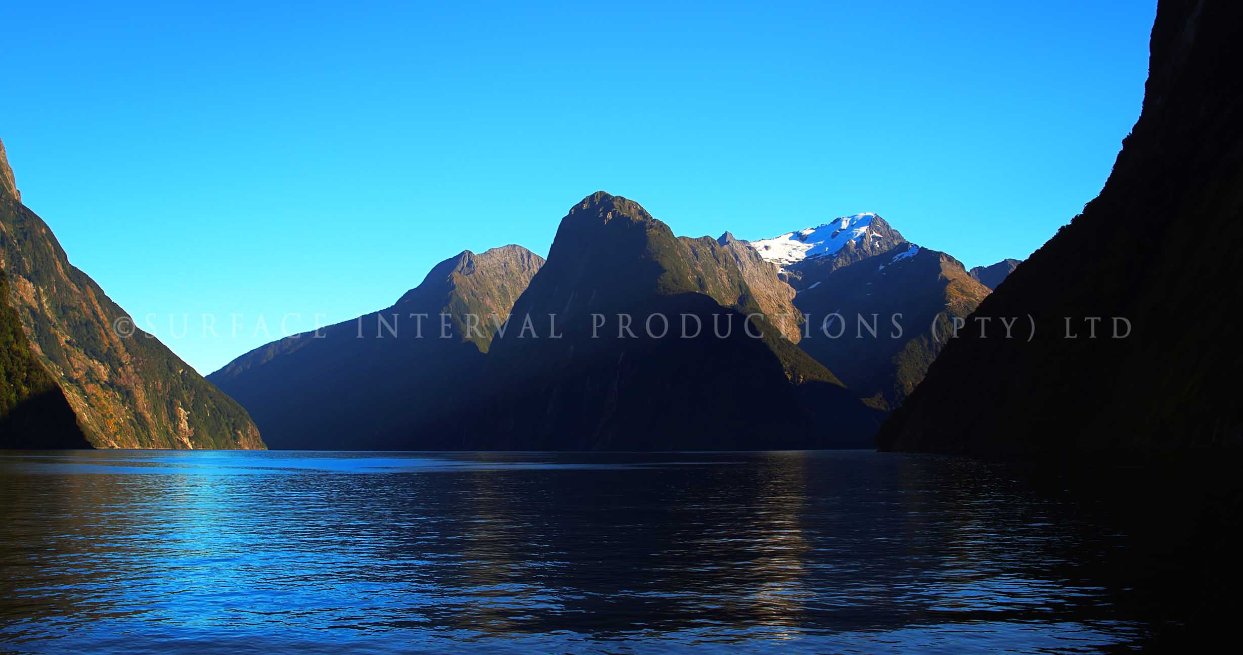 Fiordland 22.jpg